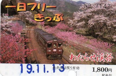 わた渓フリーキップ 表.jpg