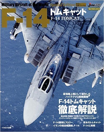 F-14 Mook.jpg