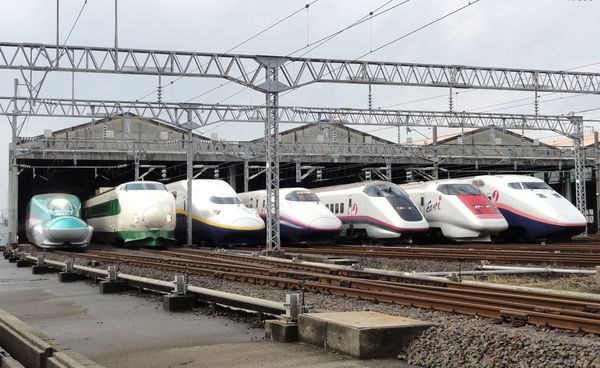JR_East_Shinkansen_lineup_at_Niigata_Depot_201210.jpg